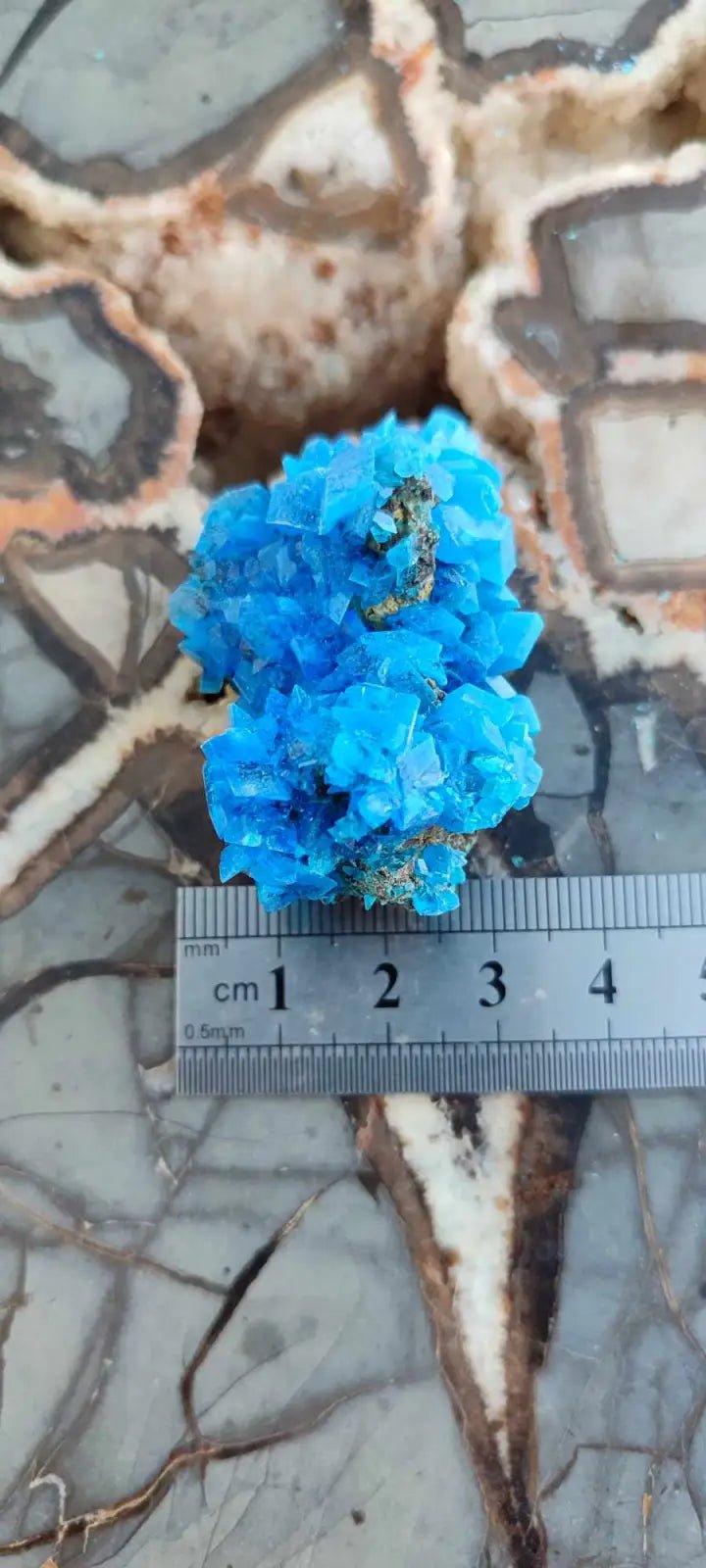 Load image into Gallery viewer, Chalcanthite de Pologne Grade A++++ Chalcanthite de Pologne
