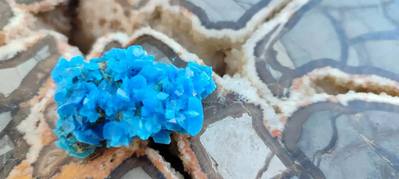 Load image into Gallery viewer, Chalcanthite de Pologne Grade A++++ Chalcanthite de Pologne
