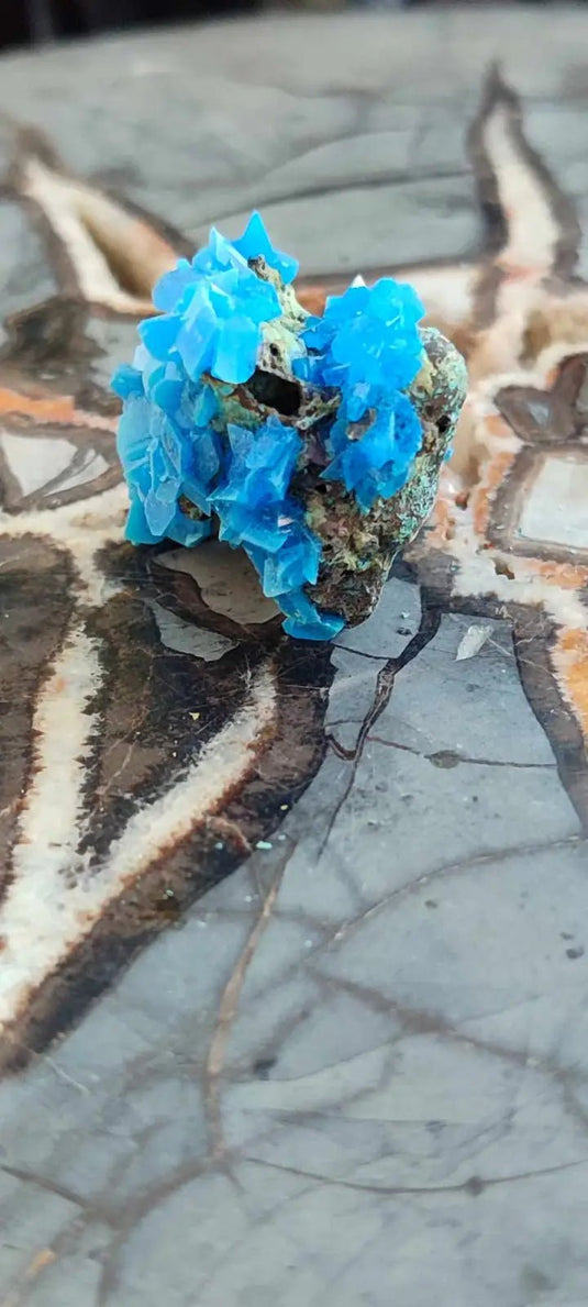 Chalcanthite de Pologne Grade A++++ Chalcanthite de Pologne