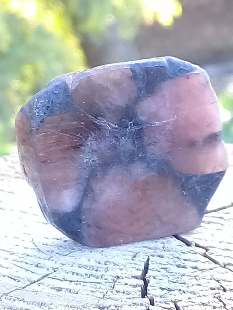 Carica immagine in Galleria Viewer, Chiastolite ou Andalousite pierre roulée Grade A ++++ Chiastolite / Andalousite pierre roulée chias   
