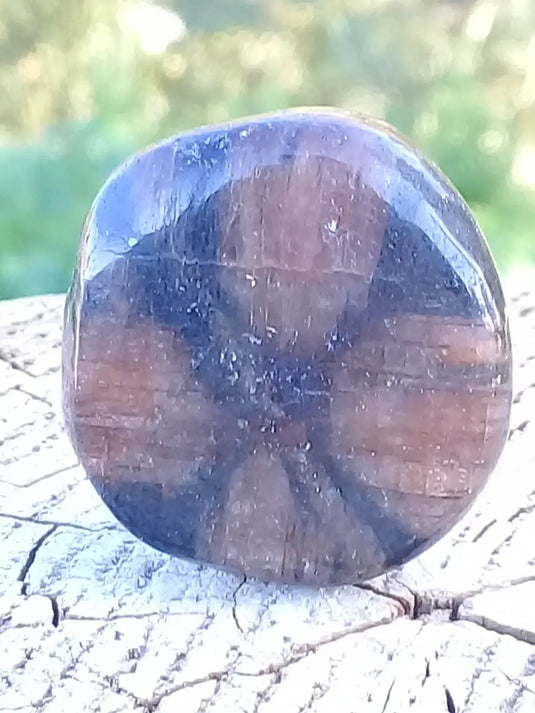 Chiastolite ou Andalousite pierre roulée Grade A ++++ Chiastolite / Andalousite pierre roulée