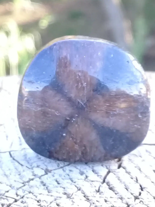 Chiastolite ou Andalousite pierre roulée Grade A ++++ Chiastolite / Andalousite pierre roulée