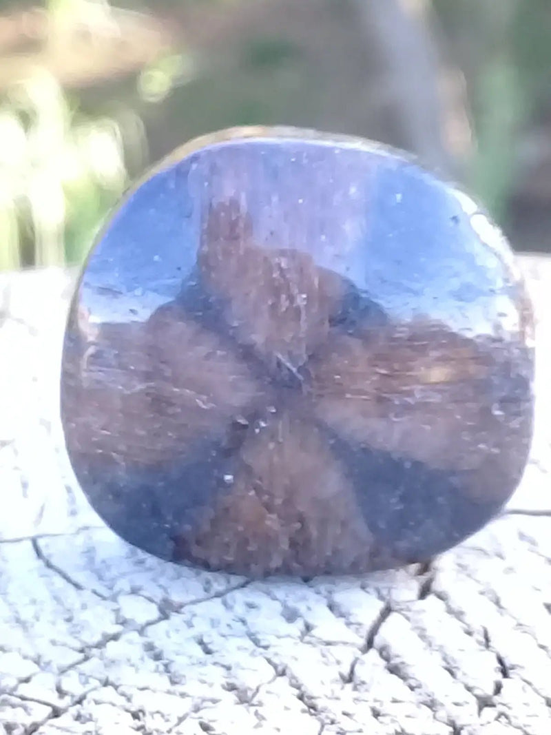 Chargez l'image dans la visionneuse de la galerie, Chiastolite ou Andalousite pierre roulée Grade A ++++ Chiastolite / Andalousite pierre roulée
