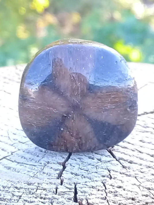 Chiastolite ou Andalousite pierre roulée Grade A ++++ Chiastolite / Andalousite pierre roulée