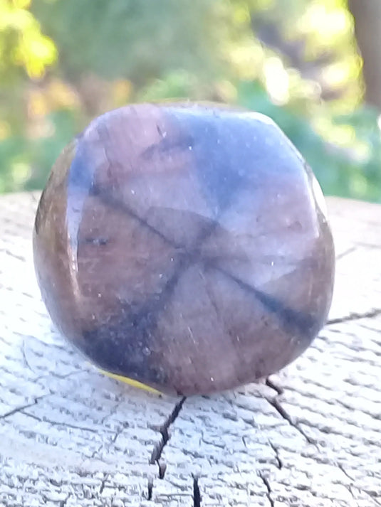 Chiastolite ou Andalousite pierre roulée Grade A ++++ Chiastolite / Andalousite pierre roulée Dans la besace du p'tit Poucet   
