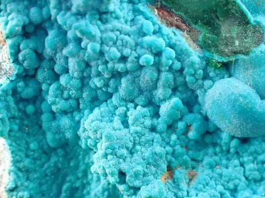 Chrysocolle sur Malachite du Pérou pierre brute Grade A++++ Chrysocolle sur Malachite du Pérou pierre brute