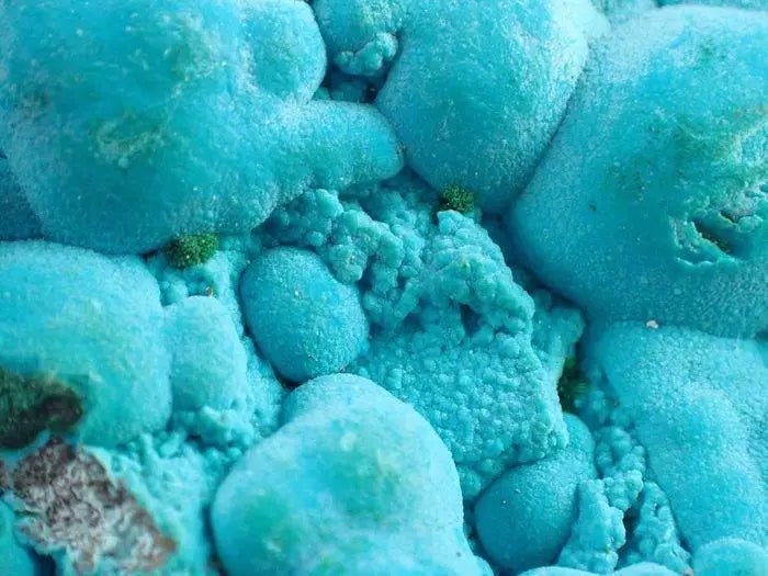 Load image into Gallery viewer, Chrysocolle sur Malachite du Pérou pierre brute Grade A++++ Chrysocolle sur Malachite du Pérou pierre brute
