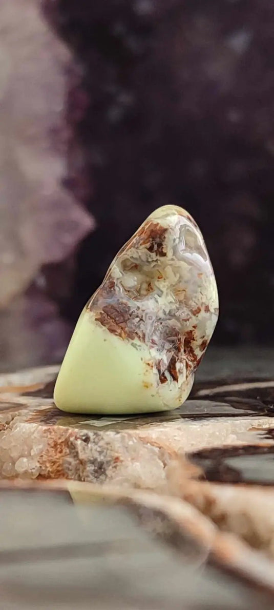 Chrysoprase citron d’Australie pierre roulée Grade A++++ Chrysoprase citron pierre roulée