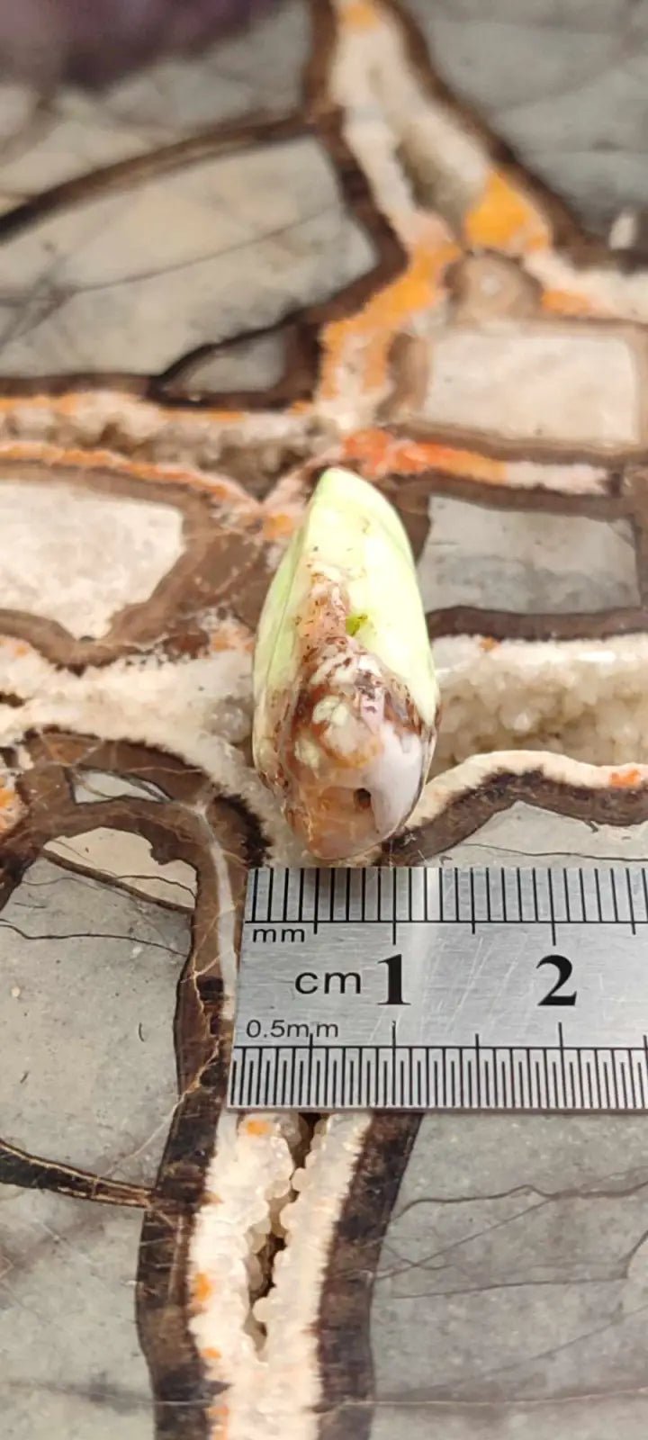 Chargez l&#39;image dans la visionneuse de la galerie, Chrysoprase du Kazakhstan pierre roulée Grade A++++ Chrysoprase pierre roulée
