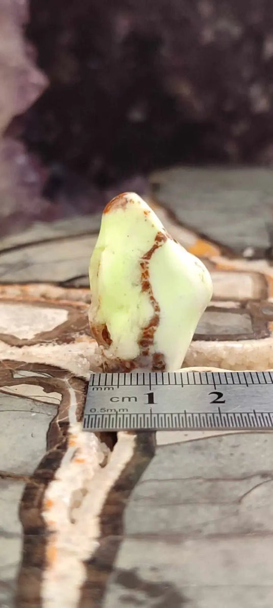 Chrysoprase du Kazakhstan pierre roulée Grade A++++ Chrysoprase pierre roulée