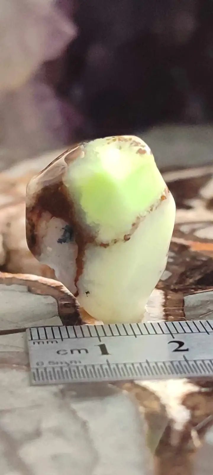 Chargez l&#39;image dans la visionneuse de la galerie, Chrysoprase du Kazakhstan pierre roulée Grade A++++ Chrysoprase pierre roulée
