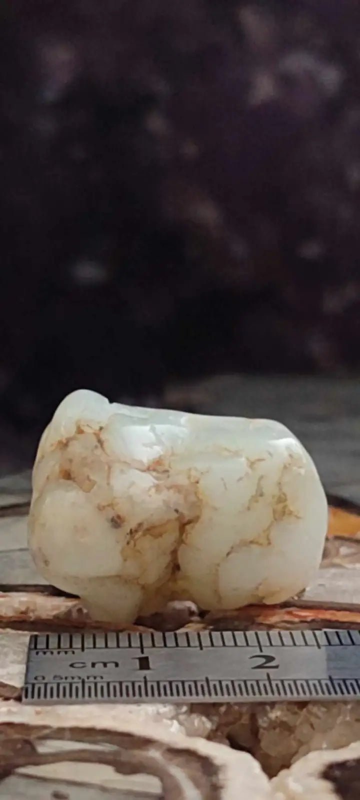 Chargez l&#39;image dans la visionneuse de la galerie, Chrysoprase du Kazakhstan pierre roulée Grade A+++ Chrysoprase pierre roulée
