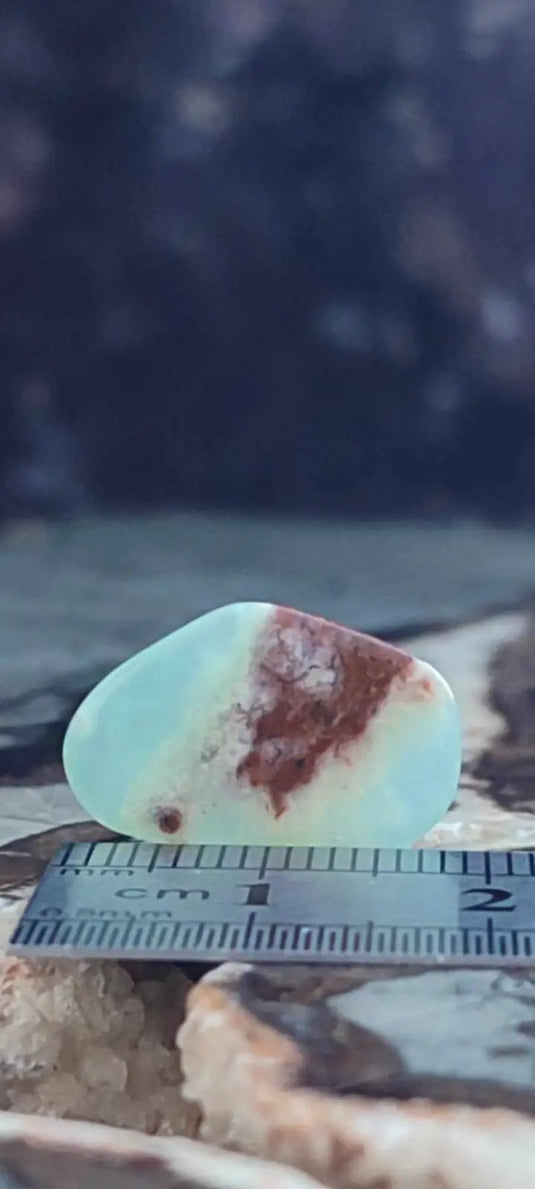 Chrysoprase du Kazakhstan pierre roulée Grade ’Extra’ Chrysoprase pierre roulée