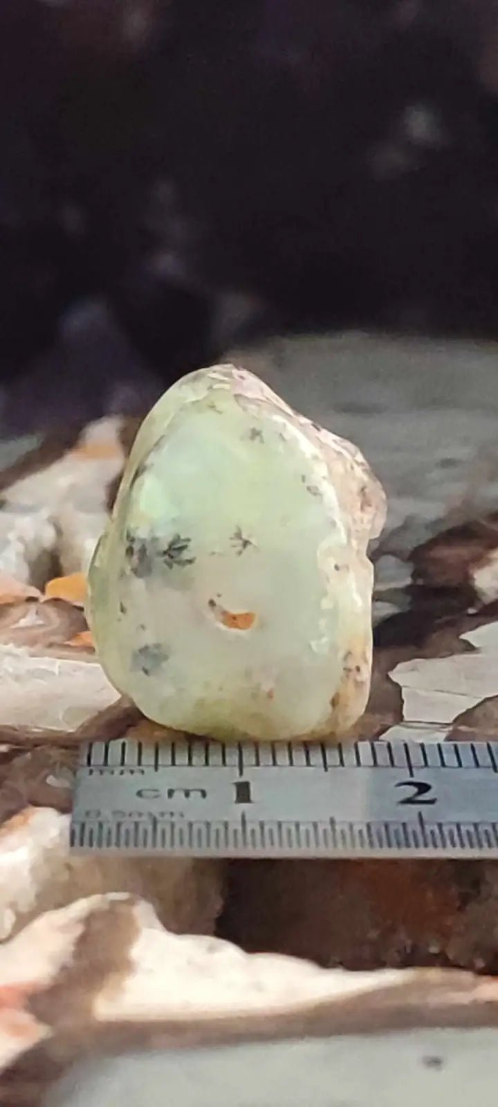 Chargez l&#39;image dans la visionneuse de la galerie, Chrysoprase du Kazakhstan pierre roulée Grade ’Extra’ Chrysoprase pierre roulée
