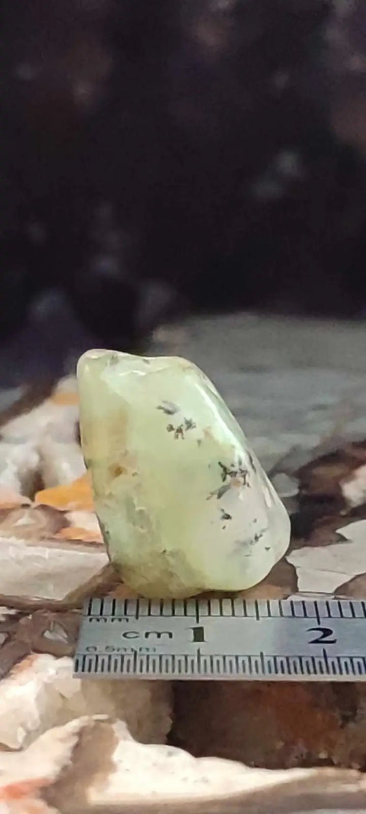 Chrysoprase du Kazakhstan pierre roulée Grade ’Extra’ Chrysoprase pierre roulée