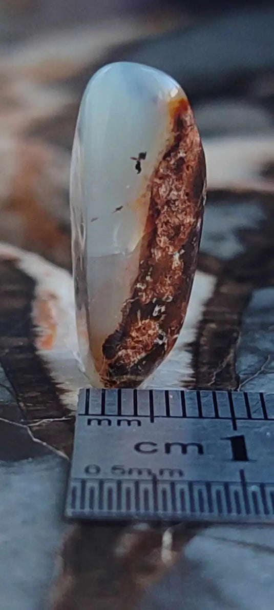 Chrysoprase du Kazakhstan pierre roulée Grade ’Extra’ Chrysoprase pierre roulée