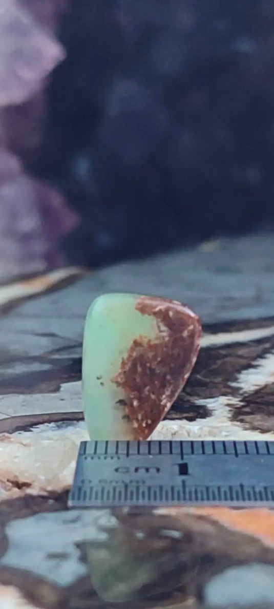 Chrysoprase du Kazakhstan pierre roulée Grade ’Extra’ Chrysoprase pierre roulée