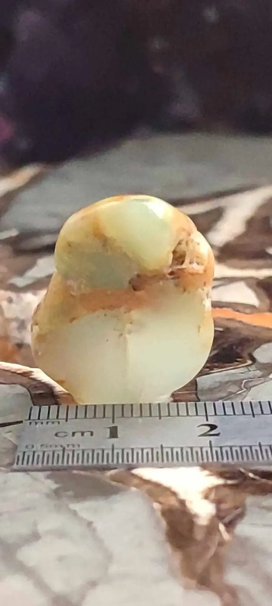 Chrysoprase du Kazakhstan pierre roulée Grade ’Extra’ Chrysoprase pierre roulée