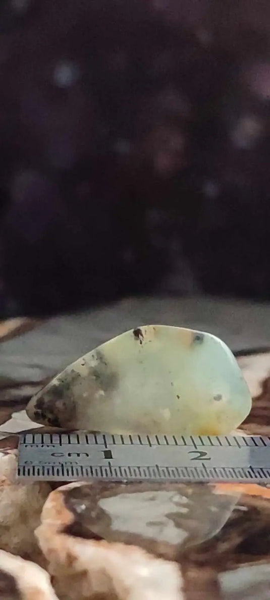 Chrysoprase du Kazakhstan pierre roulée Grade ’Extra’ Chrysoprase pierre roulée