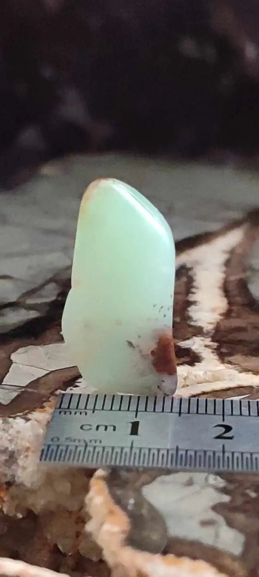 Chrysoprase du Kazakhstan pierre roulée Grade ’Extra’ Chrysoprase pierre roulée