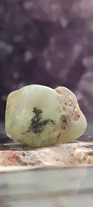 Chrysoprase du Kazakhstan pierre roulée Grade ’Extra’ Chrysoprase pierre roulée