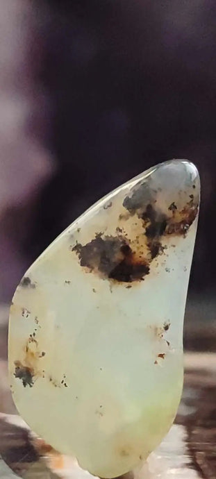 Chrysoprase du Kazakhstan pierre roulée Grade ’Extra’ Chrysoprase pierre roulée