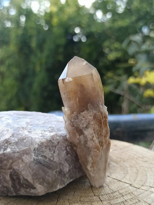 Citrine NATURELLE Authentique du Brésil - Pointe brute - Grade Prémium Citrine pointe brute