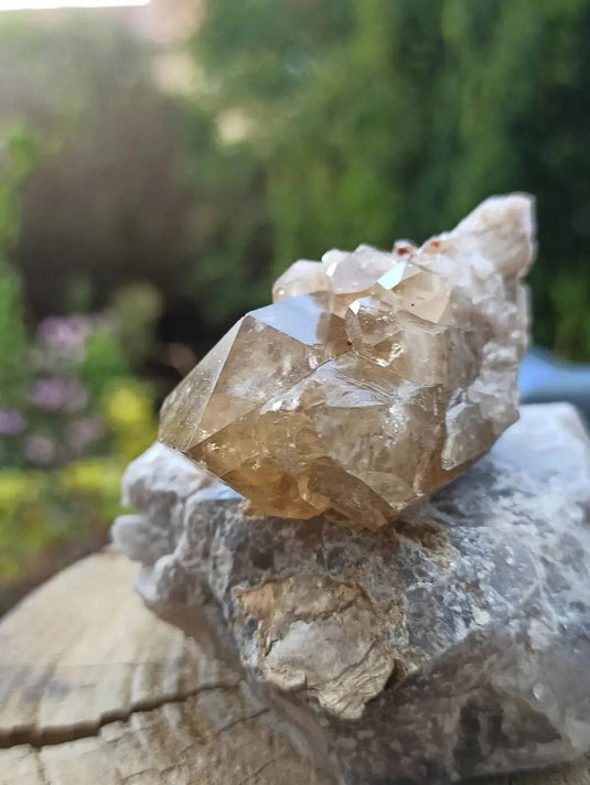 Citrine NATURELLE Authentique du Brésil - Pointe brute - Grade Prémium Citrine pointe brute