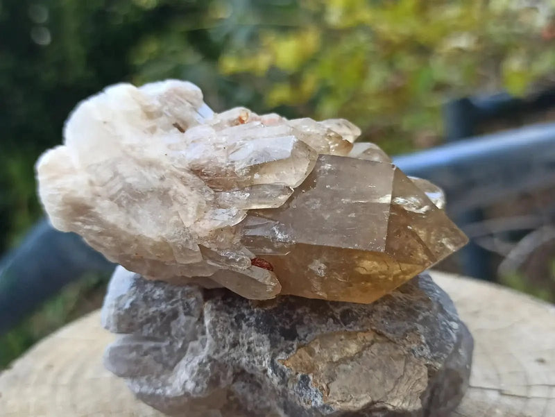 Load image into Gallery viewer, Citrine NATURELLE Authentique du Brésil - Pointe brute - Grade Prémium Citrine pointe brute
