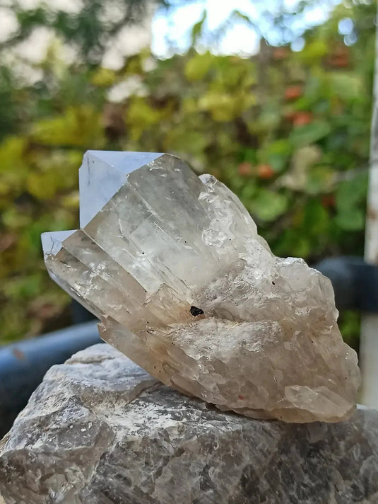 Citrine NATURELLE Authentique du Brésil - Pointe brute - Grade Prémium Citrine pointe brute