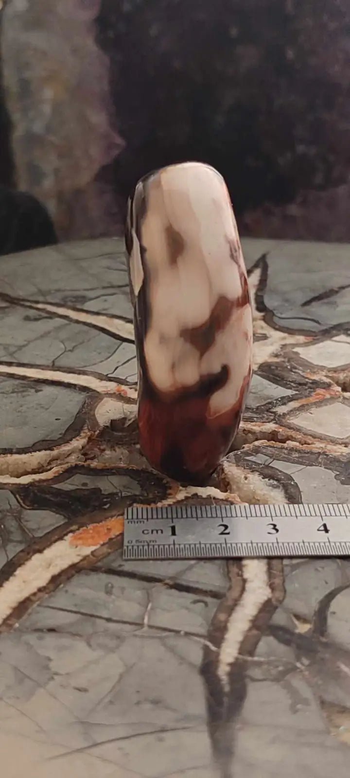 Chargez l&#39;image dans la visionneuse de la galerie, Cornaline du Brésil galet Grade A++++ Cornaline galet
