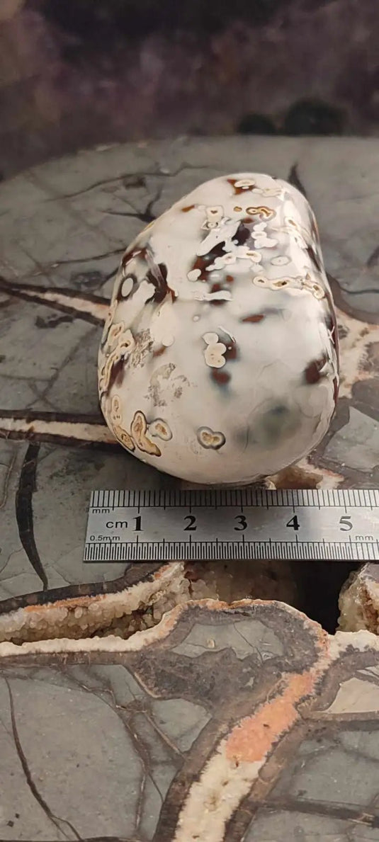 Cornaline du Brésil galet Grade A++++ Cornaline galet