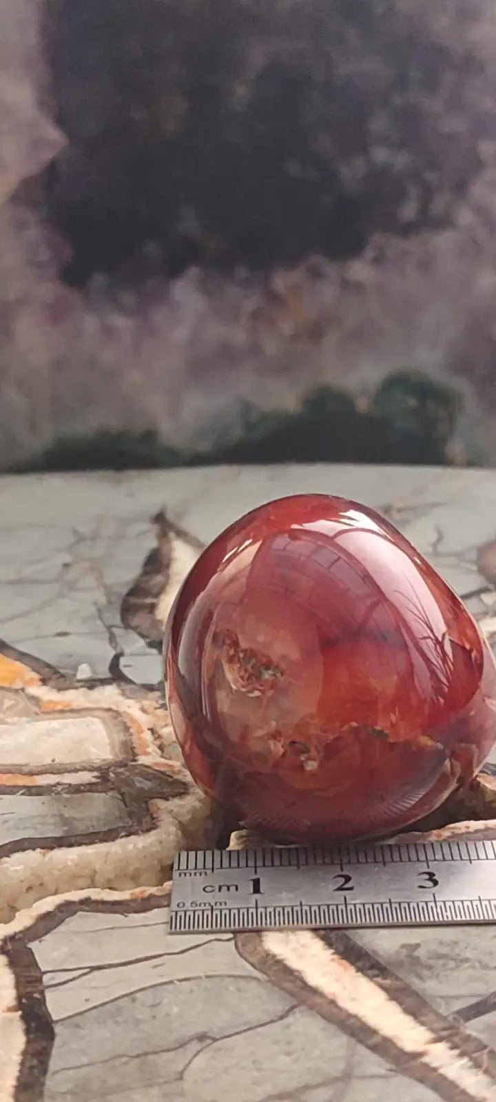 Load image into Gallery viewer, Cornaline du Brésil galet grade A++++ Cornaline galet
