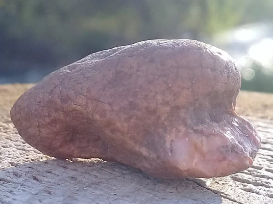 Cornaline du Brésil pierre brute Grade A ++++ Cornaline pierre brute