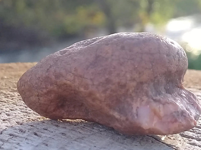 Load image into Gallery viewer, Cornaline du Brésil pierre brute Grade A ++++ Cornaline pierre brute
