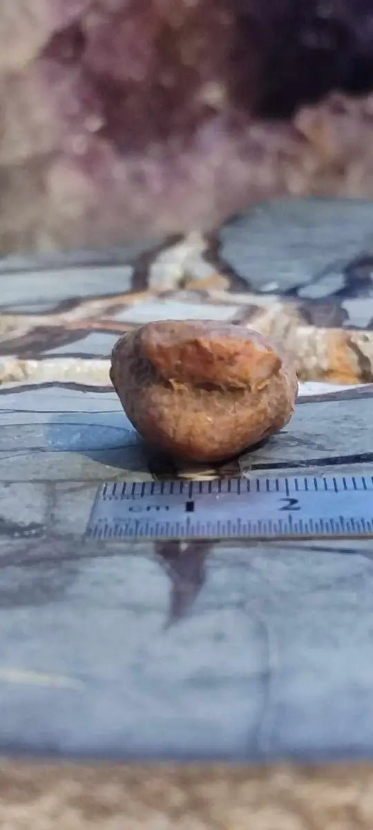 Load image into Gallery viewer, Cornaline du Brésil pierre brute Grade A ++++ Cornaline pierre brute
