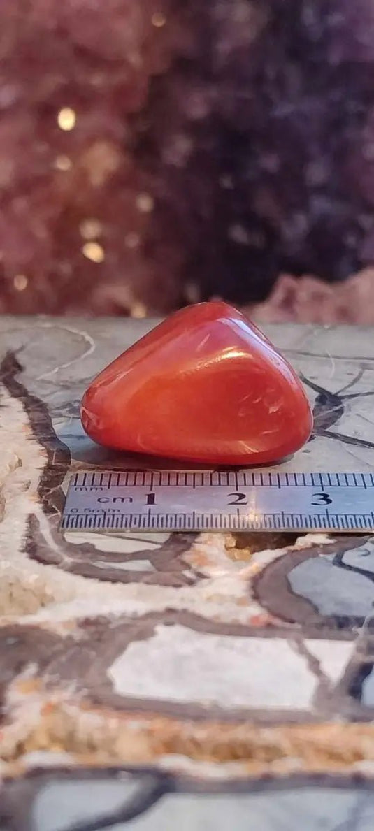 Cornaline du Brésil pierre roulée Grade A ++++