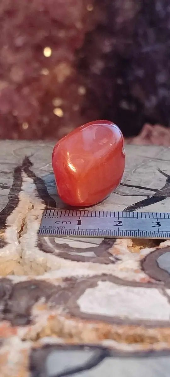 Load image into Gallery viewer, Cornaline du Brésil pierre roulée Grade A ++++
