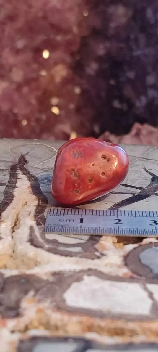 Cornaline du Brésil pierre roulée Grade A ++++