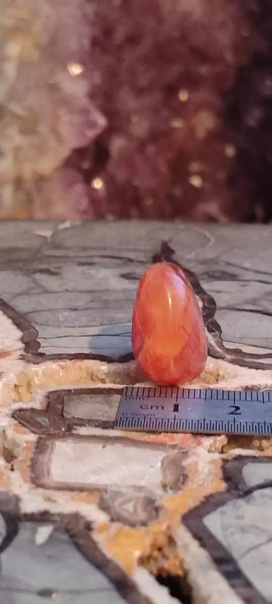 Chargez l&#39;image dans la visionneuse de la galerie, Cornaline du Brésil pierre roulée Grade A ++++ Cornaline pierre roulée
