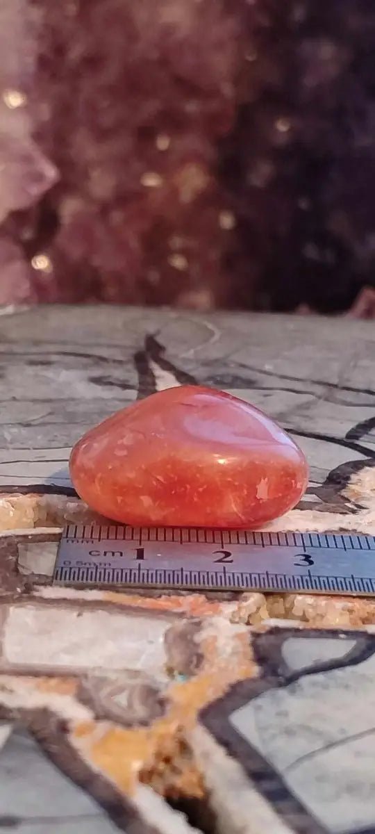 Chargez l&#39;image dans la visionneuse de la galerie, Cornaline du Brésil pierre roulée Grade A ++++ Cornaline pierre roulée
