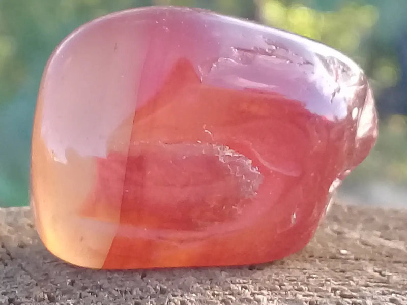 Load image into Gallery viewer, Cornaline du Brésil pierre roulée Grade A ++++ Cornaline pierre roulée
