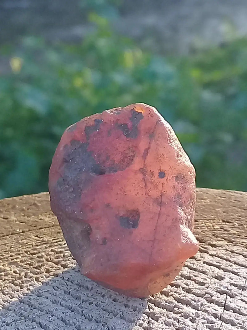 Load image into Gallery viewer, Cornaline pierre brute Grade A ++++ Cornaline pierre brute
