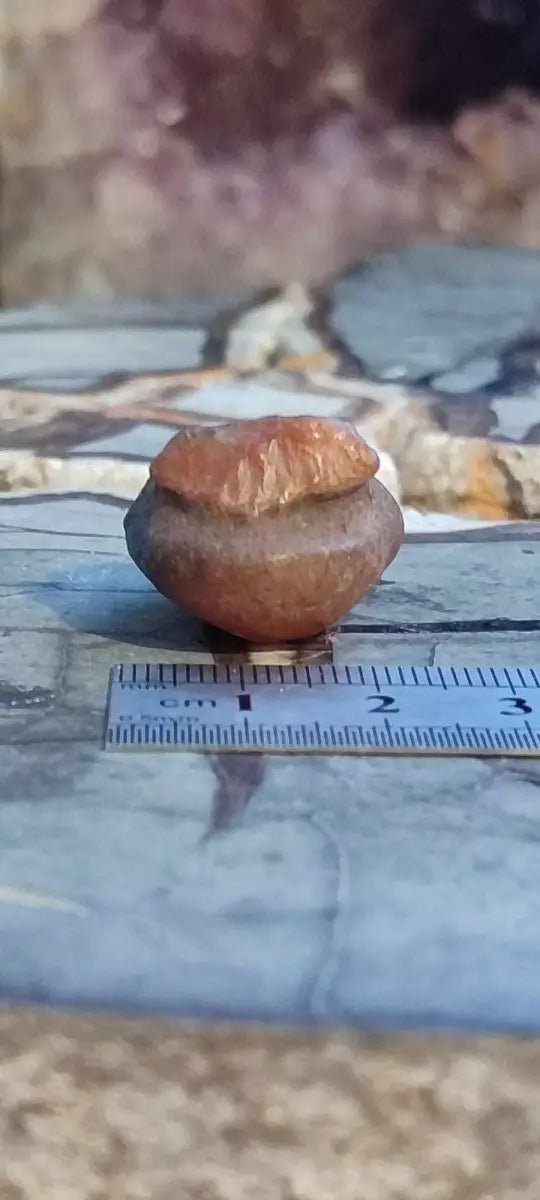 Load image into Gallery viewer, Cornaline pierre brute Grade A ++++ Cornaline pierre brute
