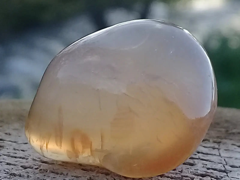 Load image into Gallery viewer, Cornaline pierre roulée Grade A ++++ Cornaline pierre roulée
