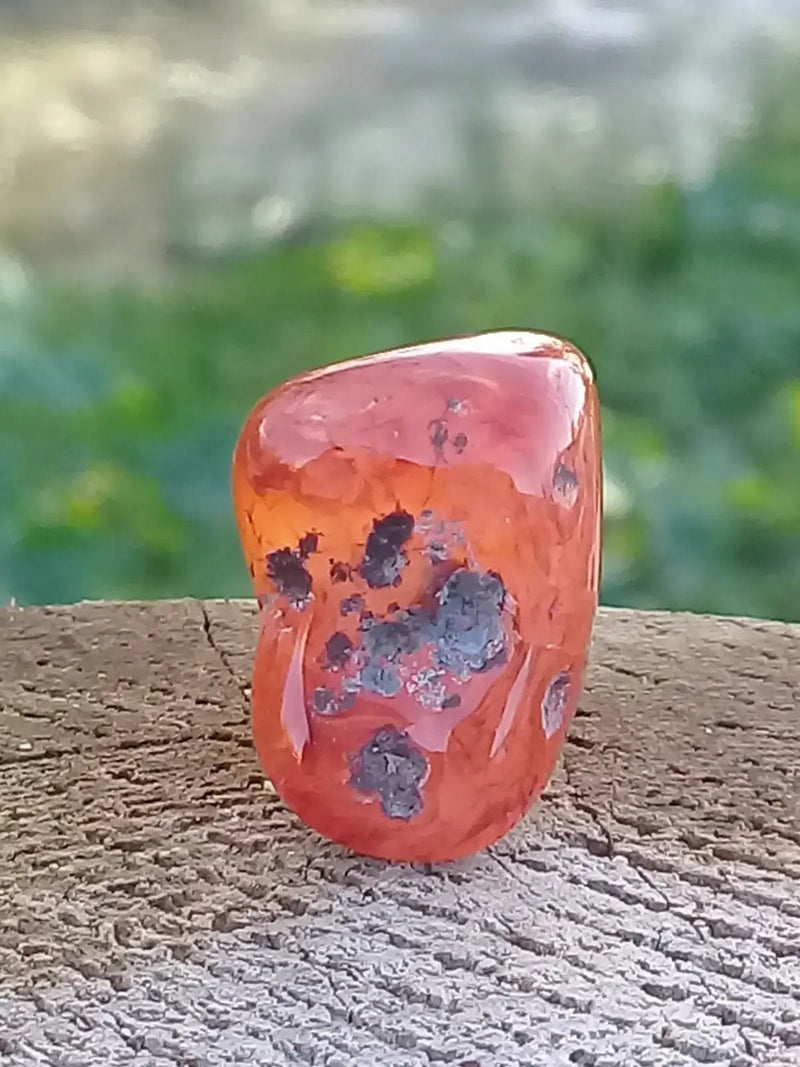 Load image into Gallery viewer, Cornaline pierre roulée Grade A ++++ Cornaline pierre roulée
