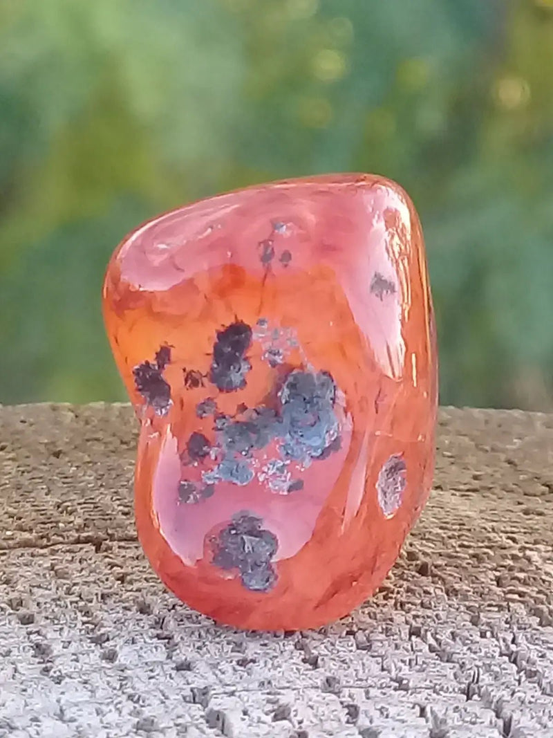 Load image into Gallery viewer, Cornaline pierre roulée Grade A ++++ Cornaline pierre roulée
