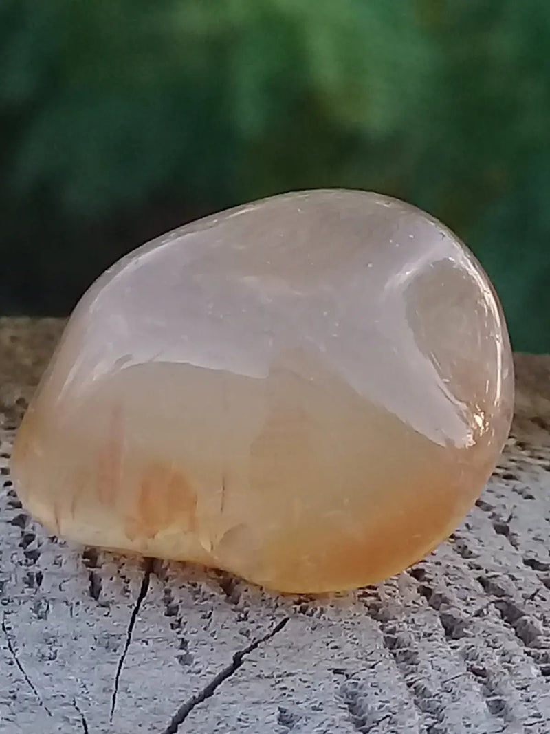 Load image into Gallery viewer, Cornaline pierre roulée Grade A ++++ Cornaline pierre roulée
