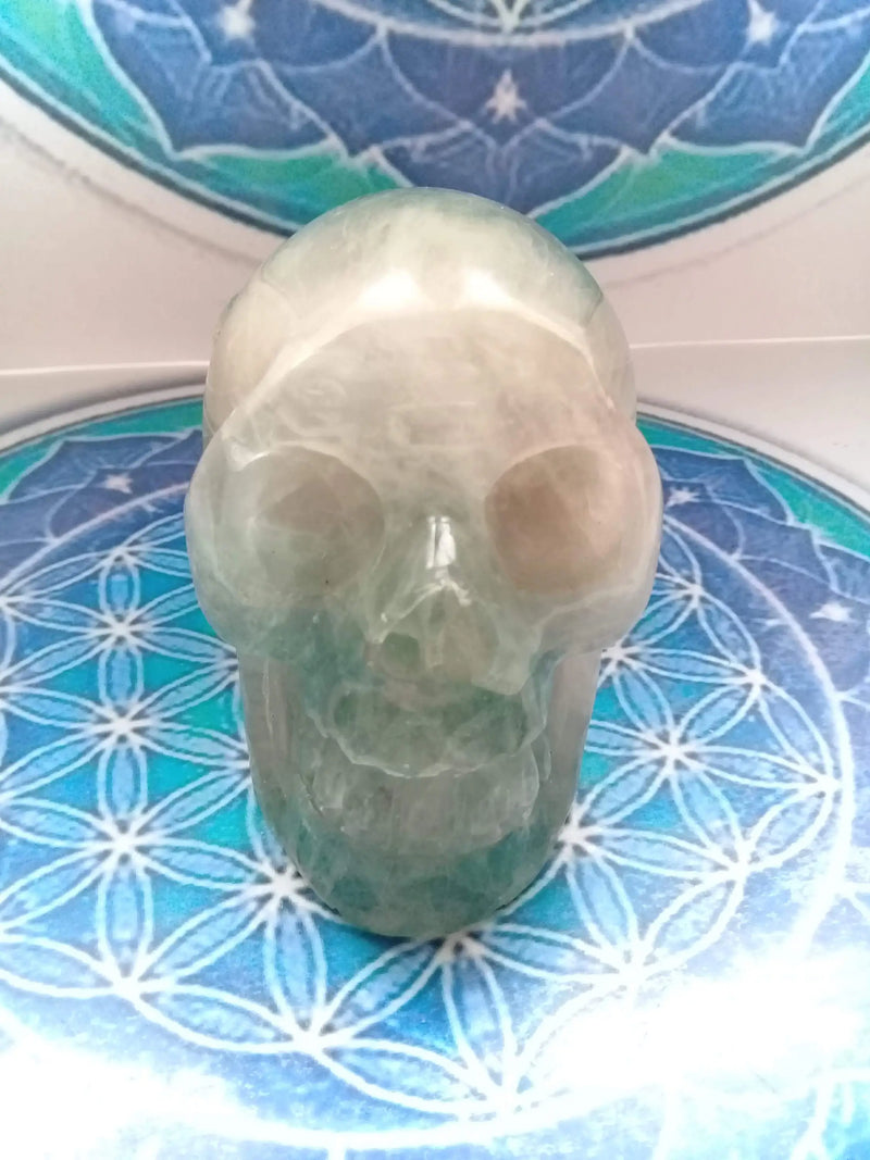 Carica immagine in Galleria Viewer, Crâne en Fluorite verte Grade A ++++ Crâne en Fluorite verte Dans la besace du p&#39;tit Poucet...   
