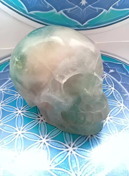 Crâne en Fluorite verte Grade A ++++ Crâne en Fluorite verte